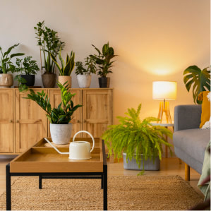 Home Décor