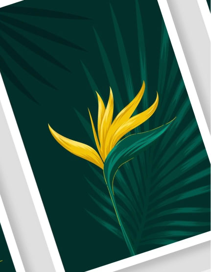 Wall Art & Décor