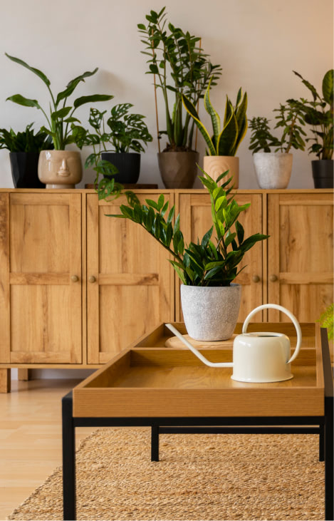Home Décor